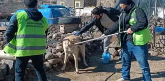 A rabid dog bit three people, and the area has been quarantined.