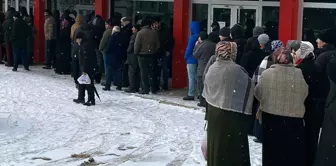 They waited for hours in the snow for cheap meat.