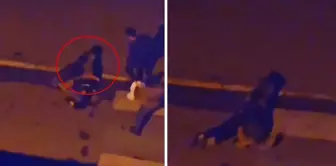 Moments of horror captured on camera! A stray dog grabbed the unfortunate woman by the throat.