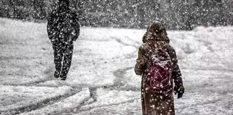 Due to snowfall, education has been suspended in some provinces and districts.