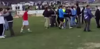 The managers jumped onto the field! They beat the referees with kicks and punches.