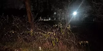 A male corpse was found in a wooded area in Arnavutköy.