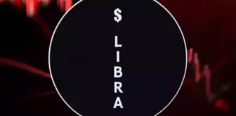 What is the LIBRA token? What is happening in Argentina?