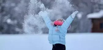 Schools are closed in Istanbul tomorrow.