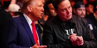 Trump's call to Elon Musk: Be more aggressive.