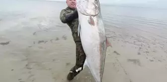 He caught a 1.8-meter-long barracuda with a spear.