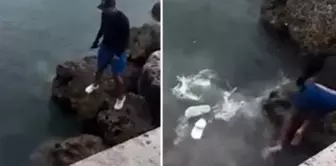 While taking a photo, the fisherman narrowly escaped death as a shark fell on him.