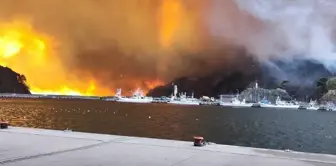 Forest fire in Japan: 1 person has died.