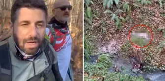 A shocking incident in Belgrad Forest! They tore it apart before the citizens could arrive.