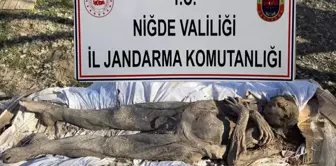 Six people attempting to sell a mummy from the Middle Ages were caught in Niğde.