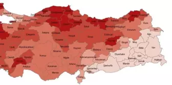 The Turkish Statistical Institute (TÜİK) has shared the figures! Here are the 3 provinces in Turkey with the highest elderly population.