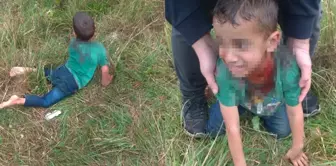 Stray dogs attacked a 5-year-old child! The footage is horrifying.