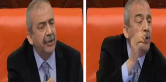 Reaction from Sırrı Süreyya Önder to AK Party MPs: 