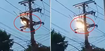 The thief who wanted to steal the cable was electrocuted.