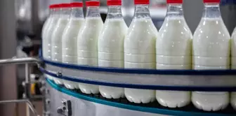 Turkey's 40-year-old dairy giant has declared bankruptcy protection.