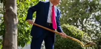 Трамп посадил дерево золотой лопатой в саду Белого дома.