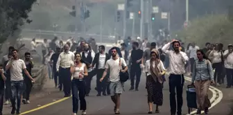 إسرائيل تواجه كارثة حرائق! تم الدعوة إلى تقديم المساعدة الدولية من 5 دول.