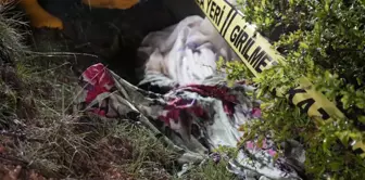 The food-seeking bear raided the cemetery! It vandalized the grave and pulled the corpse out of the tomb.