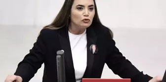 He was attacked at his father's grave! There is a statement from Alparslan Türkeş's daughter.