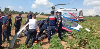 В результате аварии кайрокоптера в Адане пострадали 2 солдата.