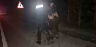 The person who escaped the identity check fell into the swamp along with the police.
