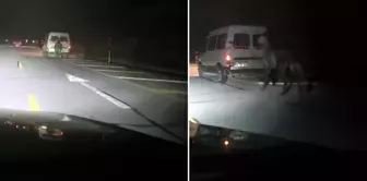 He tied the horses to the back of the truck and made them run.