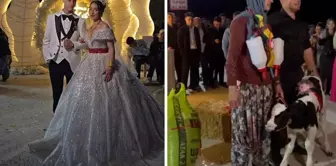 Damat يائسًا انتظر، ما تم ارتداؤه في الزفاف صدم الجميع.