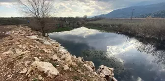 Вот перевод на русский язык:

