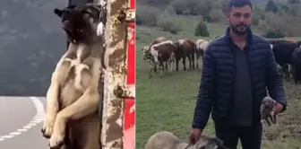 Вот перевод на русский язык:

