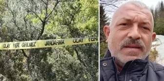 The tree he cut down was the end.