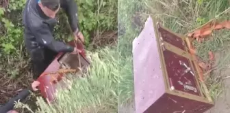 En yakınları yaşlı adamın altın dolu kasasını çaldı. 

Arapça tercümesi:  
