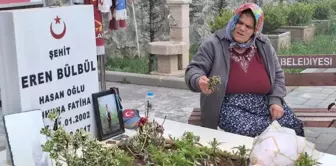 Эрен Бюлбюлью мать Айше Бюлбюль оценила прекращение огня со стороны ПКК.