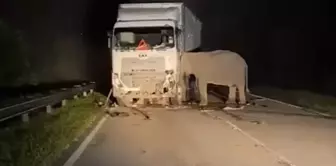 Gecenin karanlığında kahreden görüntü ifadesinin Arapça çevirisi:

