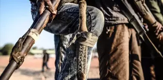 In armed attacks in Nigeria's Benue state, 23 people were killed.