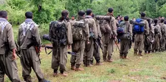 How will the timeline proceed after the PKK's self-dissolution?