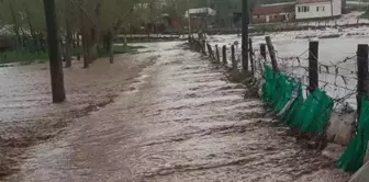 Flood disaster in Sivas! Damage occurred in two villages.