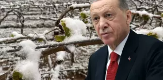 President Erdoğan, who said, 