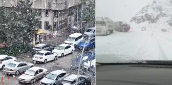 В мае снеговой сюрприз! Центр города покрылся белым.