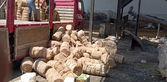 If they hadn't been caught, they would have fed it to the citizens! 7 tons of spoiled cheese were destroyed.