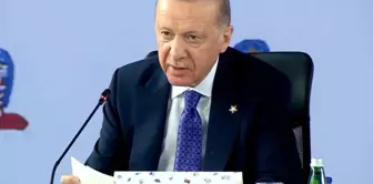 Президент Эрдоган: Визовые процедуры обязательно должны быть пересмотрены.