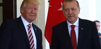 Тревожное предупреждение о похвалах Трампа Эрдогану: Америка разве не та жестокая Америка, которую мы знаем?
