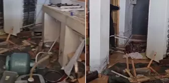 Bears waking up from hibernation raided the mayor's house.