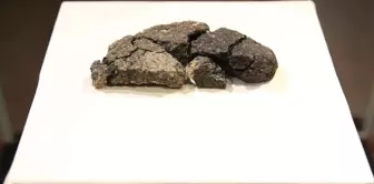 The 5,000-year-old bread found in Eskişehir has been reproduced using the same recipe.