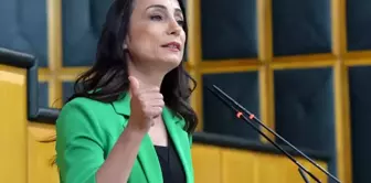 حزب DEM يشترط على عائلة حاتيم أوغلو: الطريق إلى المجتمع الديمقراطي يمر من هنا.
