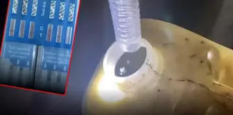 وزارة التجارة تنفذ عملية 