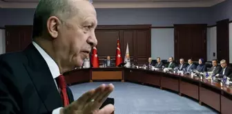إردوغان قال 