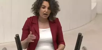 دم حزب تشيك أوطلو اقتراحه بشأن المتحولين أثار جدلاً كبيراً.
