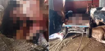 They were caught red-handed while slaughtering a horse at home in the capital of kebab.