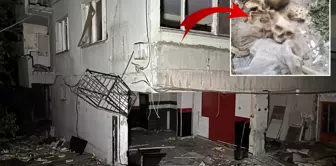In the abandoned building, skulls and bones belonging to three individuals were found.