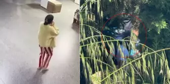 The mother of the baby found in the cemetery turned out to be a university student! Her statement was shocking.